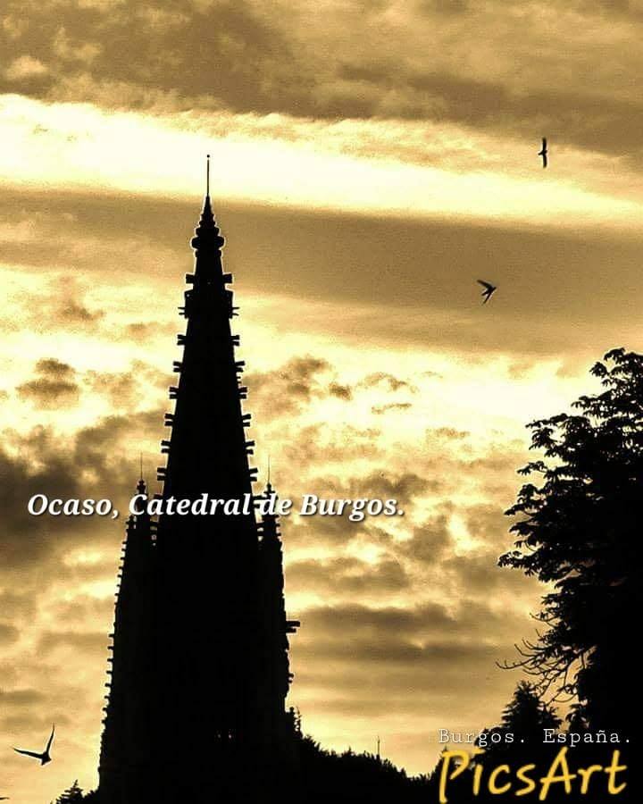 Catedral de Burgos